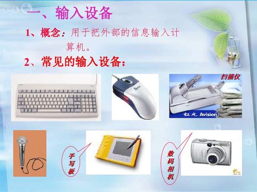 計算機(jī)硬件系統(tǒng)的組成與基本結(jié)構(gòu)